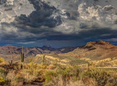 Arizona Landscape